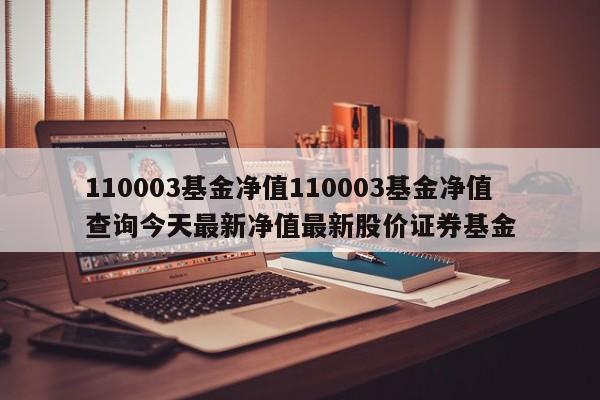 110003基金净值110003基金净值查询今天最新净值最新股价证券基金