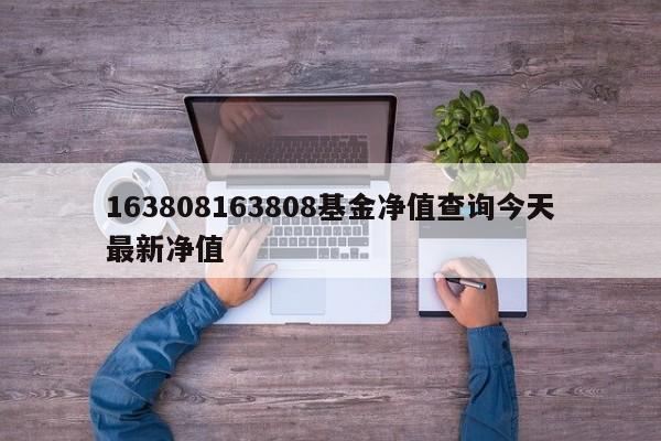 163808163808基金净值查询今天最新净值