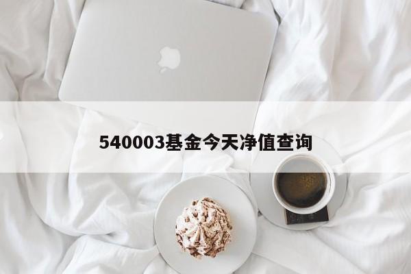 540003基金今天净值查询