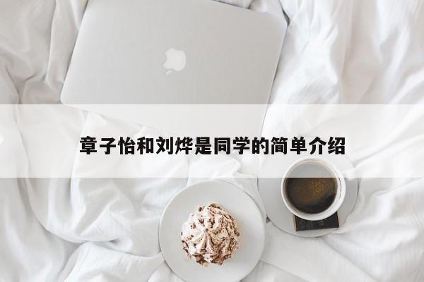 章子怡和刘烨是同学的简单介绍