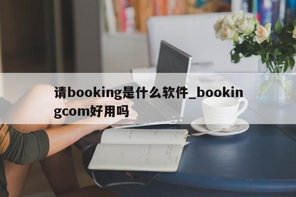 请booking是什么软件_bookingcom好用吗