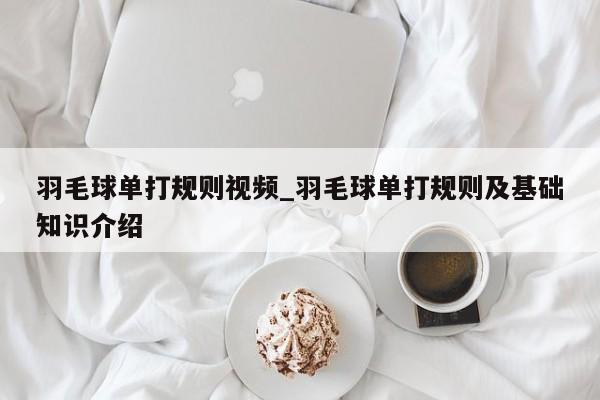 羽毛球单打规则视频_羽毛球单打规则及基础知识介绍