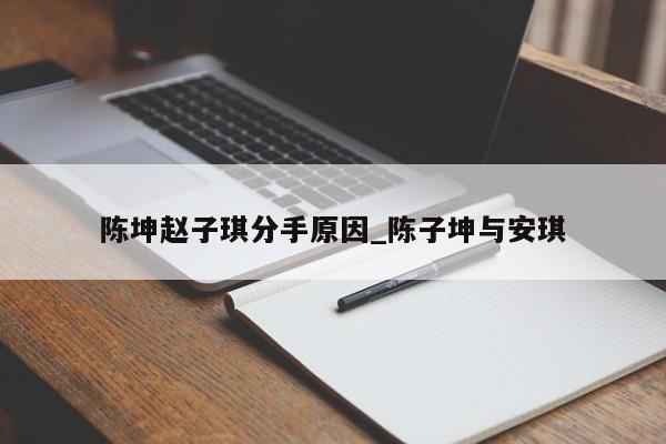 陈坤赵子琪分手原因_陈子坤与安琪