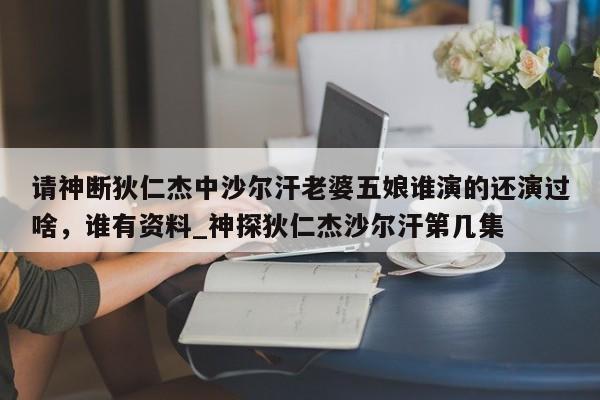 请神断狄仁杰中沙尔汗老婆五娘谁演的还演过啥，谁有资料_神探狄仁杰沙尔汗第几集