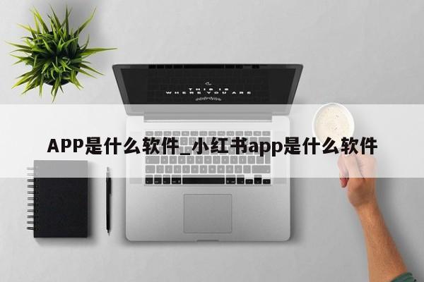 APP是什么软件_小红书app是什么软件