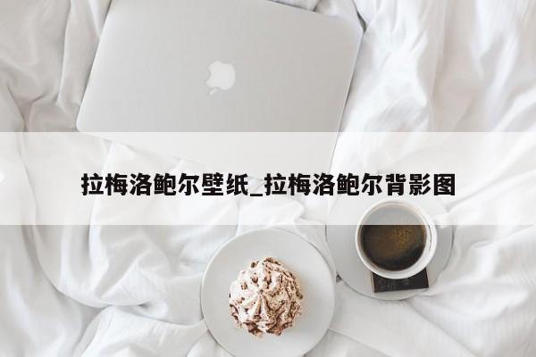 拉梅洛鲍尔壁纸_拉梅洛鲍尔背影图