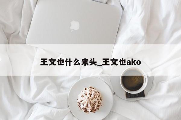 王文也什么来头_王文也ako