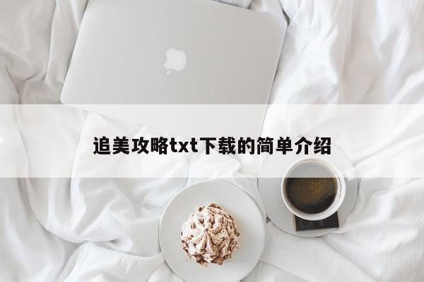 追美攻略txt下载的简单介绍