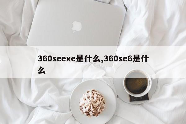 360seexe是什么,360se6是什么