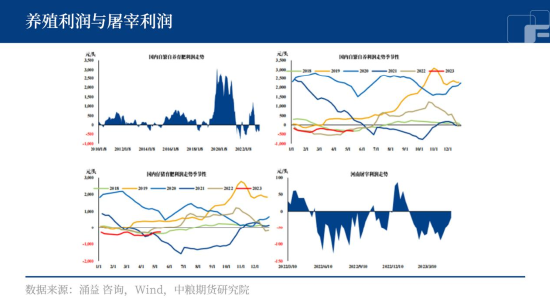 中粮期货：小麦玉米价格倒挂，猪价上涨成了奢望？